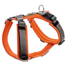 Hunter Maldon Y-Harness For The Dog i orange/grå